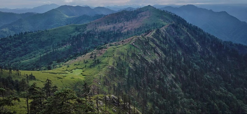 181758177303520153.jpg image1.jpeg