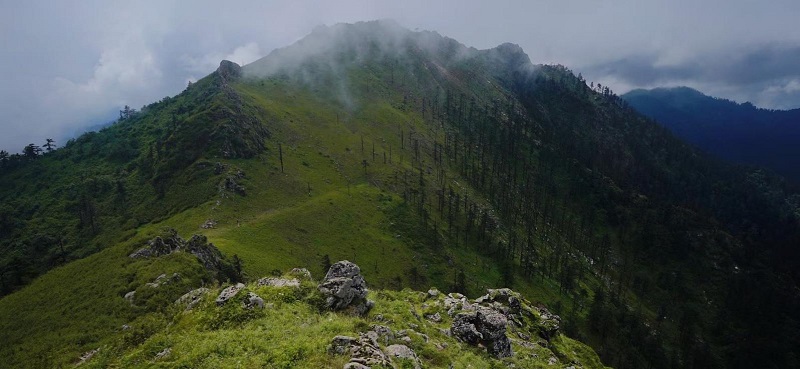 181758177317106696.jpg image2.jpeg