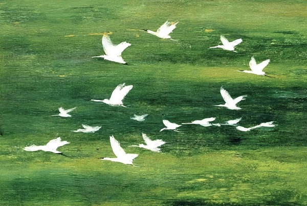 241758677938857693.jpg image1.jpeg