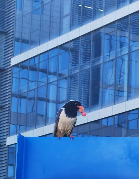 101760063016139039.jpg fullImageffb024bdd4e515b6924d9346232317246381a904(1).jpg