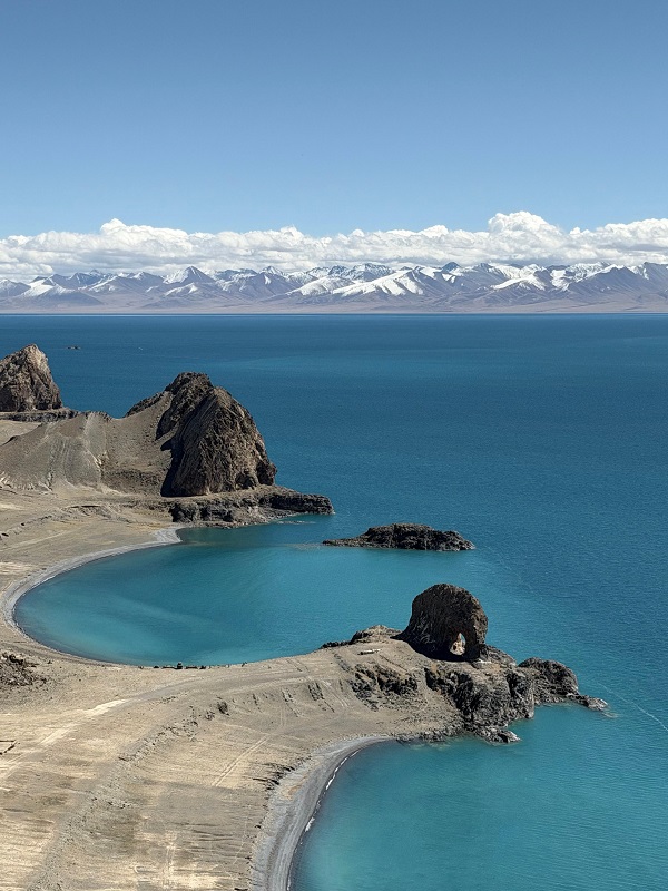 241761303608198101.jpg image2.jpeg