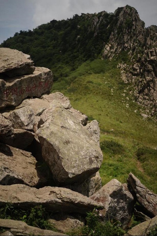 241761303894113073.jpg image1.jpeg