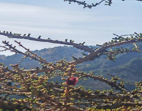 311761912060156486.jpg image1.jpeg